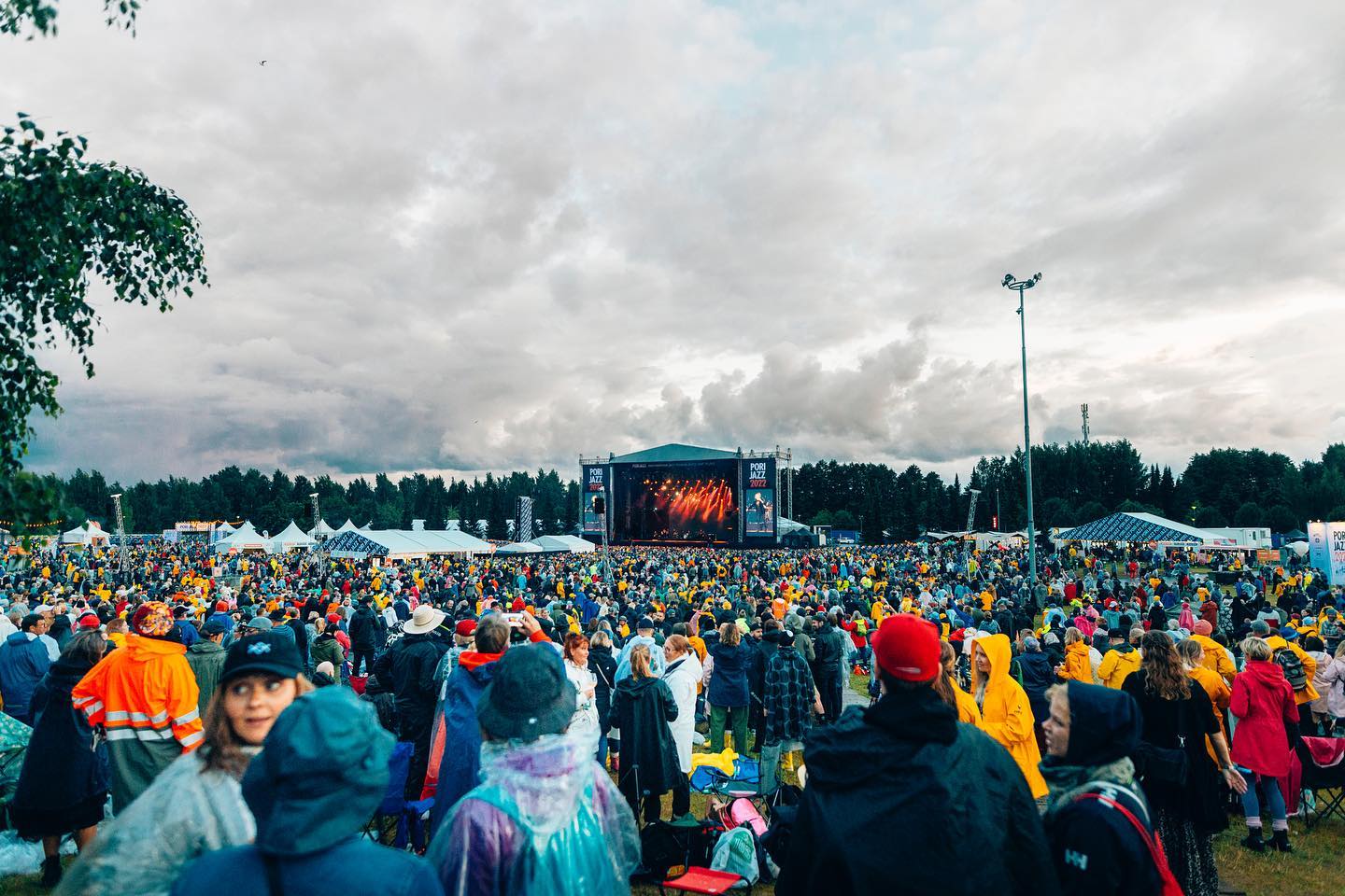 Jazz Bet Fest value bet Καθηγητής Μυστήριος