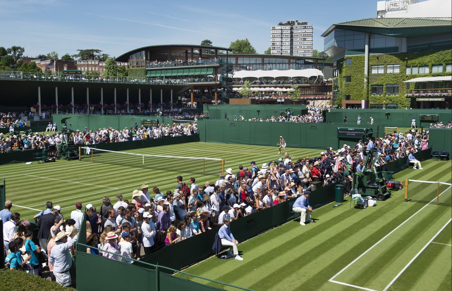 Bet Therapy Wimbledon value bet